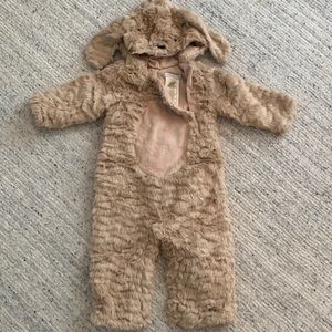 Pottery Barn Kids Dog Halloween Costume